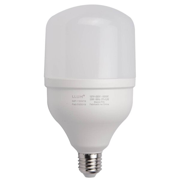 LAMPADA LED ALTA POTENCIA 30W E27 BI-VOLT