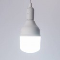 LAMPADA LED ALTA POTENCIA 30W E27 BI-VOLT